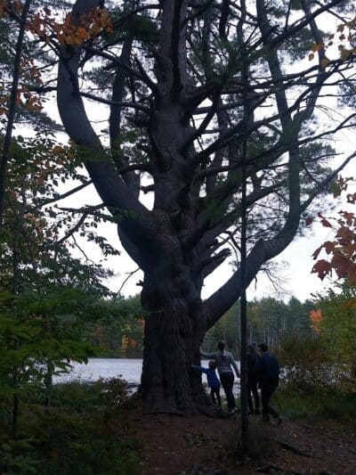 Donnabeth Lippman Park - Windham, ME