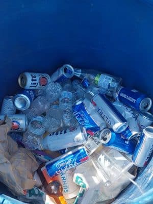 Bailey's Barking Dog Park