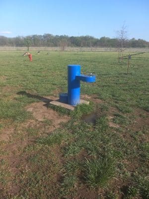 Bailey's Barking Dog Park