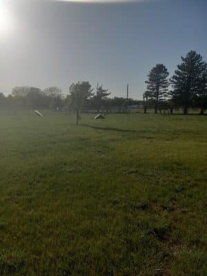 Bailey's Barking Dog Park