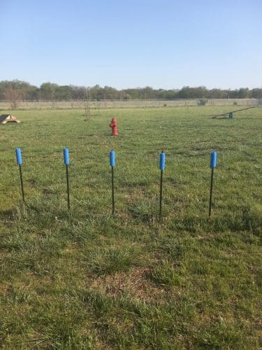 Bailey's Barking Dog Park