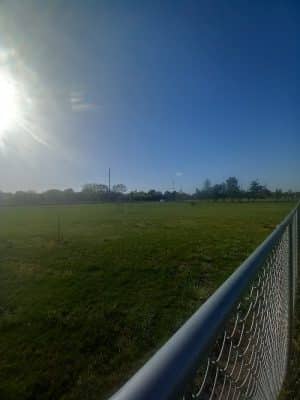 Bailey's Barking Dog Park