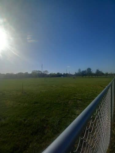 Bailey's Barking Dog Park