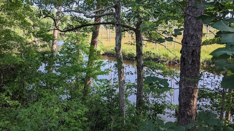Brunswick Nature Park - Winnabow, NC