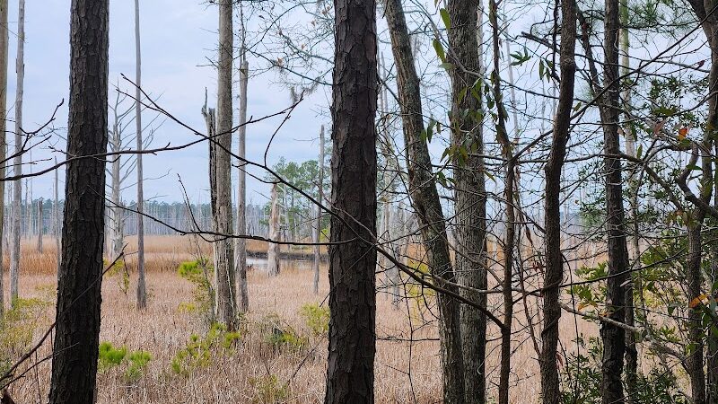 Brunswick Nature Park - Winnabow, NC