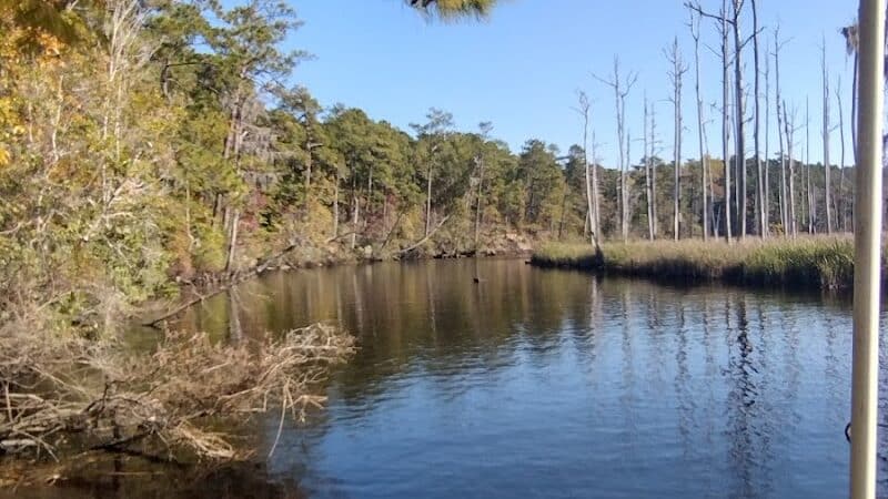 Brunswick Nature Park - Winnabow, NC