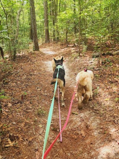 Brunswick Nature Park - Winnabow, NC