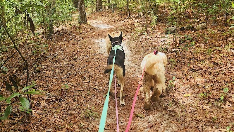 Brunswick Nature Park - Winnabow, NC