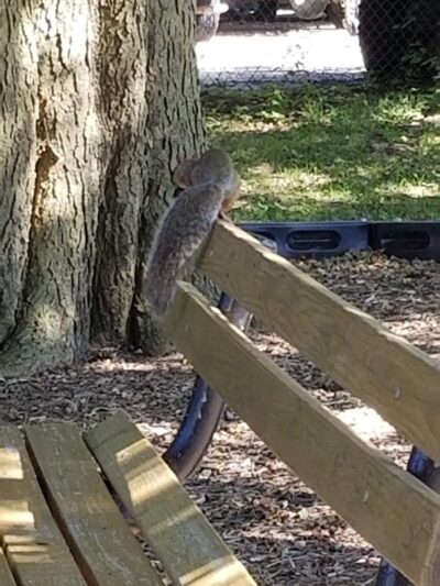 Memorial Park - Winnebago, IL