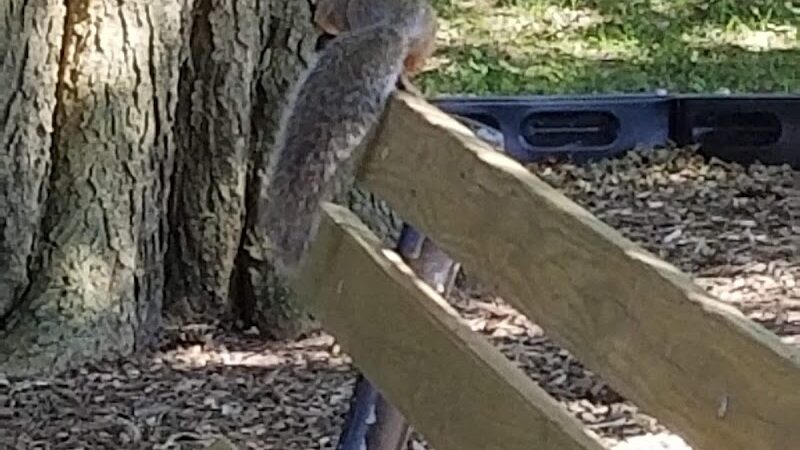 Memorial Park - Winnebago, IL