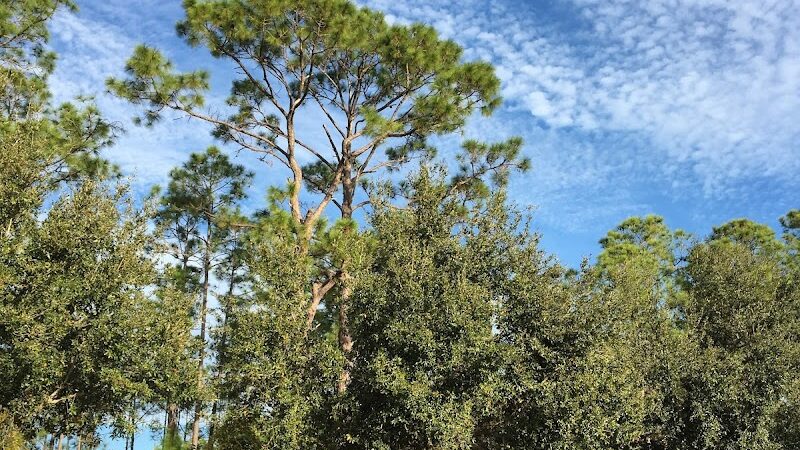 Independence Community Dog Park - Winter Garden, FL