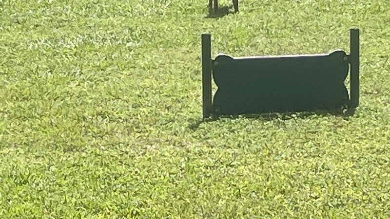 Falcon Square Dog Park - Winter Garden, FL