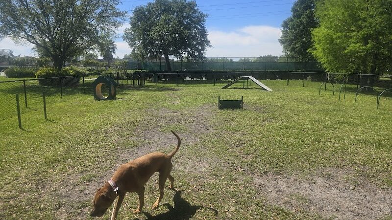 Falcon Square Dog Park - Winter Garden, FL