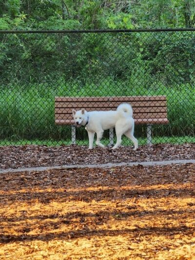 West Orange Dog Park - Winter Garden, FL