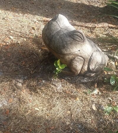 West Orange Dog Park - Winter Garden, FL