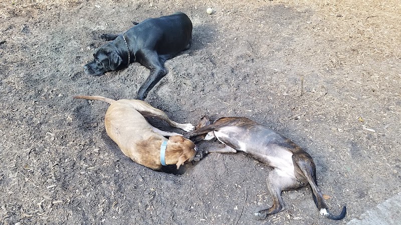 West Orange Dog Park - Winter Garden, FL