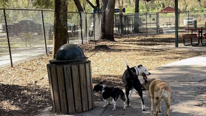 West Orange Dog Park - Winter Garden, FL
