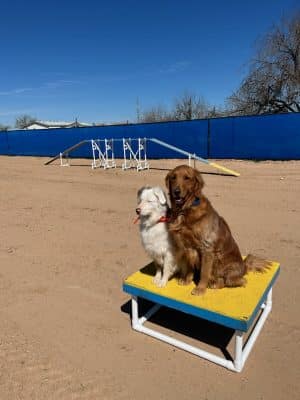 Legend Acres Agility Course Dog Park