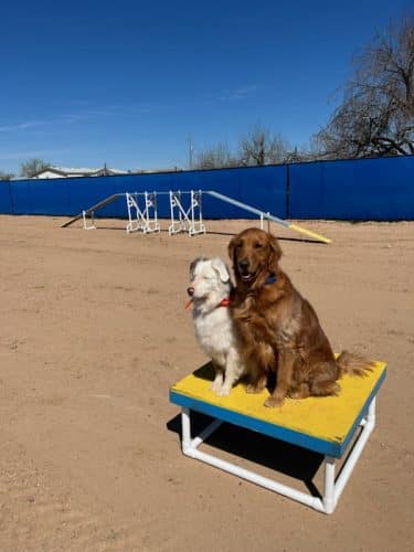 Legend Acres Agility Course Dog Park