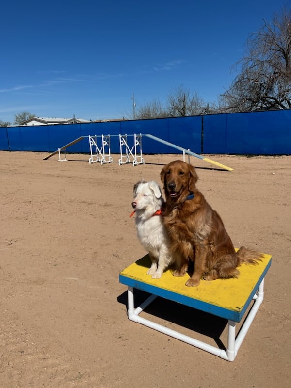 Legend Acres Agility Course Dog Park - Wittmann, AZ