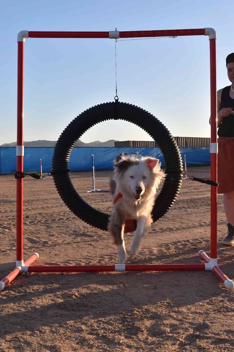Legend Acres Agility Course Dog Park - Wittmann, AZ
