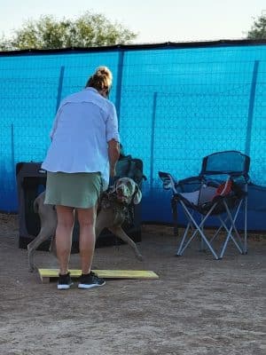 Legend Acres Agility Course Dog Park