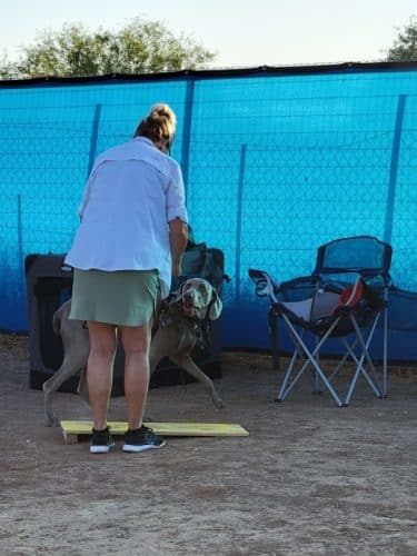 Legend Acres Agility Course Dog Park