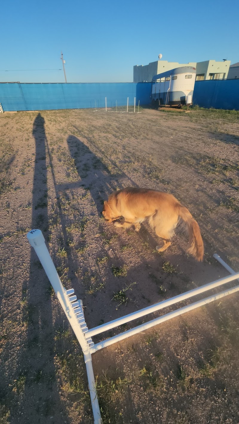 Legend Acres Agility Course Dog Park - Wittmann, AZ