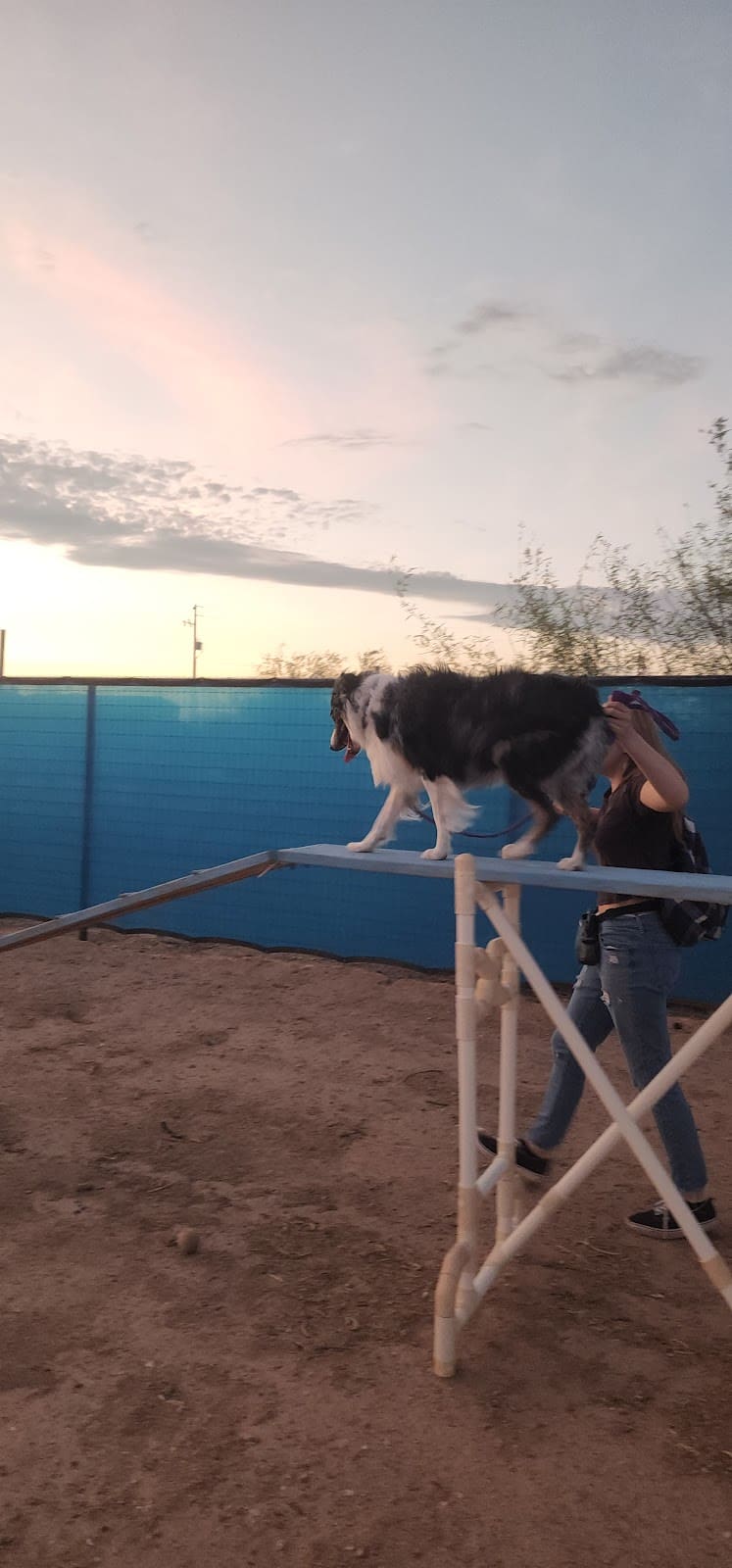 Legend Acres Agility Course Dog Park - Wittmann, AZ