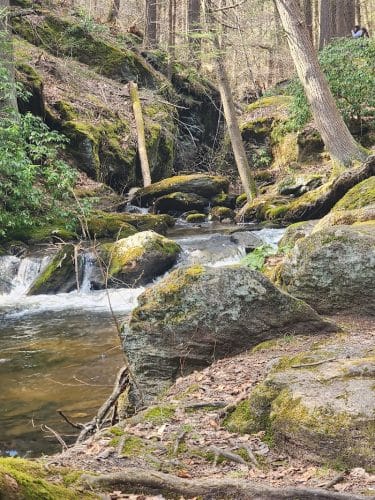 Peterson Memorial Park