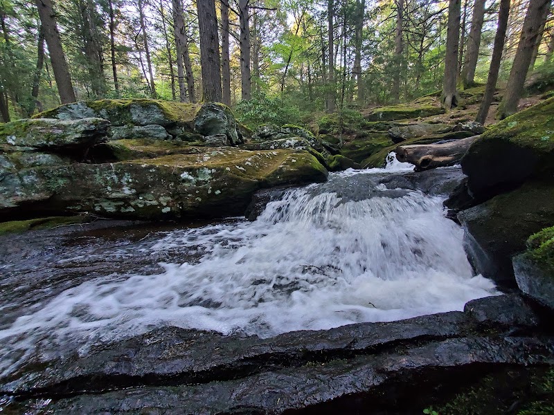 Peterson Memorial Park - Wolcott, CT