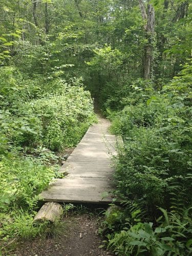 Peterson Memorial Park