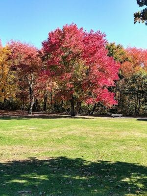 Peterson Memorial Park