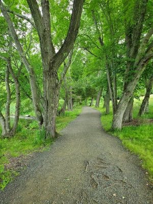 Woodtick Recreation Area