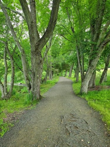 Woodtick Recreation Area