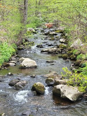 Woodtick Recreation Area