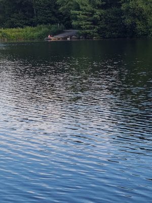 Woodtick Recreation Area