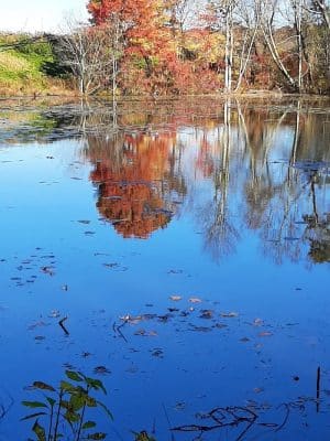 Woodtick Recreation Area