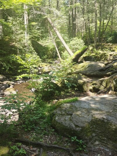 Peterson Memorial Park - Wolcott, CT