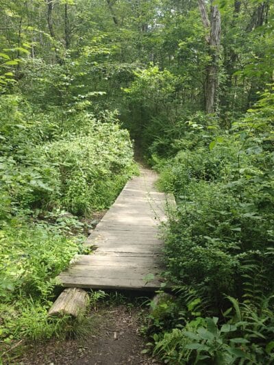 Peterson Memorial Park - Wolcott, CT