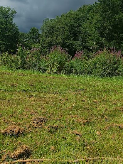 Woodbury Rotary Park - Woodbury, NJ