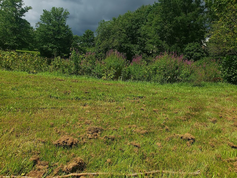Woodbury Rotary Park - Woodbury, NJ