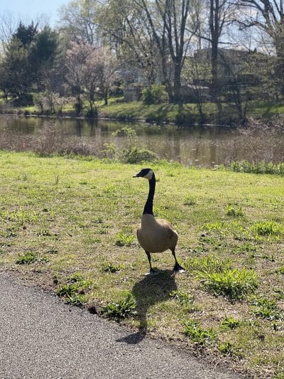 Woodbury Rotary Park - Woodbury, NJ