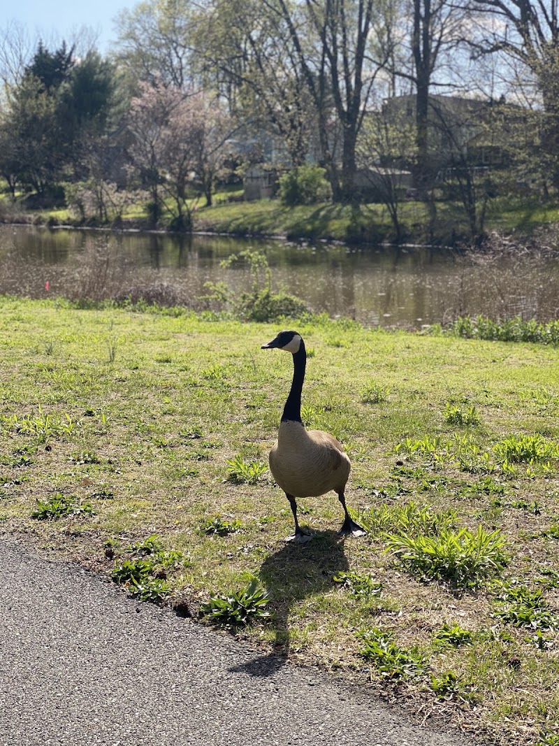 Woodbury Rotary Park - Woodbury, NJ