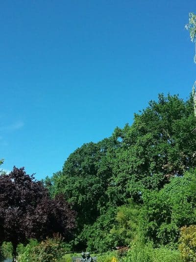 Woodbury Rotary Park - Woodbury, NJ