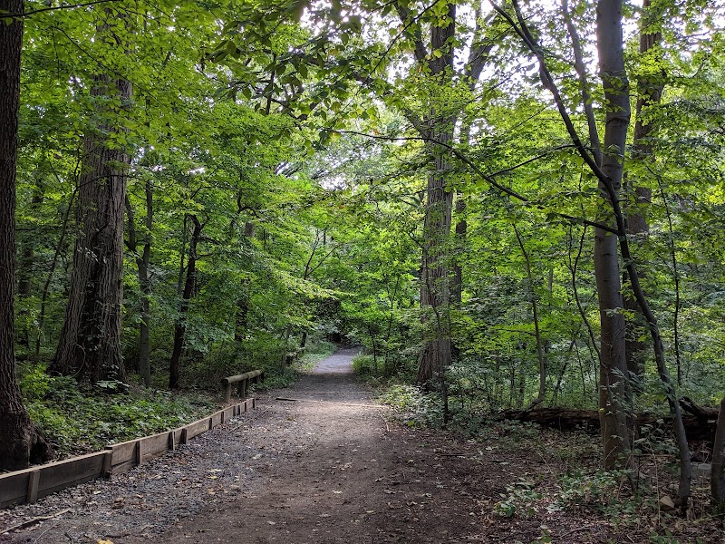 Forest Park - Woodhaven, NY