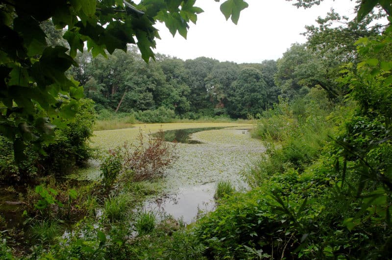 Forest Park - Woodhaven, NY
