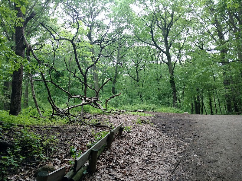 Forest Park - Woodhaven, NY