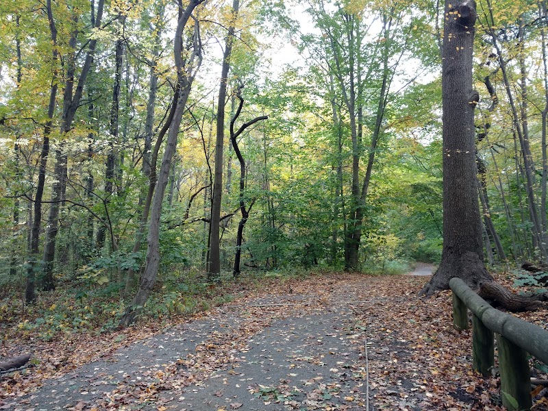 Forest Park - Woodhaven, NY