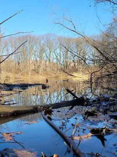 Forest Park - Woodhaven, NY